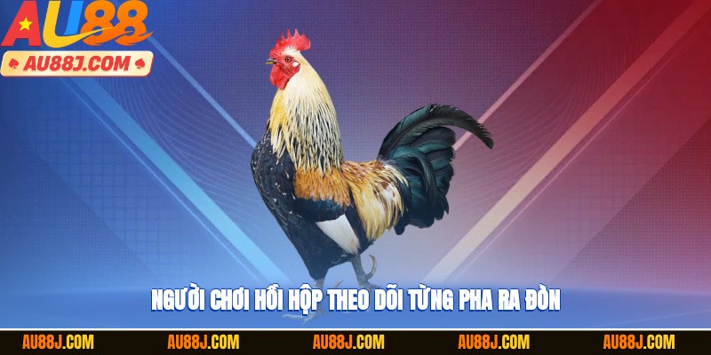 Người chơi hồi hộp theo dõi từng pha ra đòn